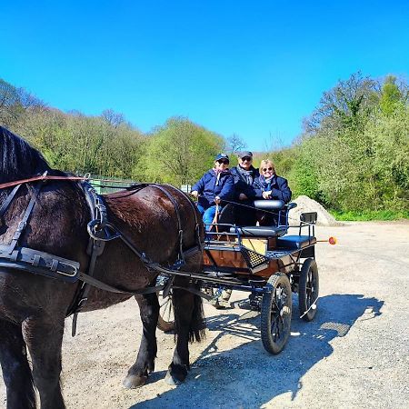 Eco-Gite La Chambre Du Vanneur Mentheville Екстер'єр фото